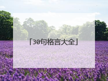 30句格言大全
