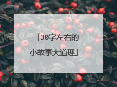 30字左右的小故事大道理