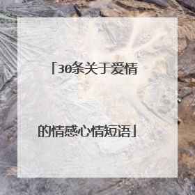 30条关于爱情的情感心情短语