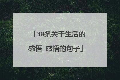 30条关于生活的感悟_感悟的句子