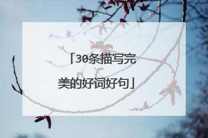 30条描写完美的好词好句