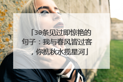 30条见过即惊艳的句子:我与春风皆过客,你携秋水揽星河