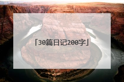 30篇日记200字