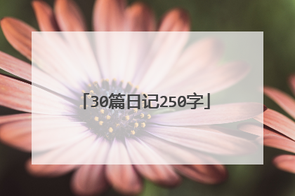 30篇日记250字