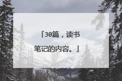30篇,读书笔记的内容。