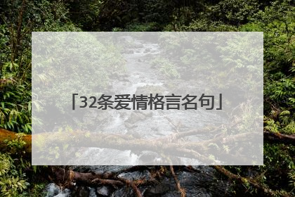 32条爱情格言名句