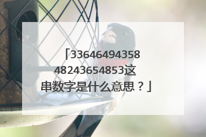 3364649435848243654853这串数字是什么意思?