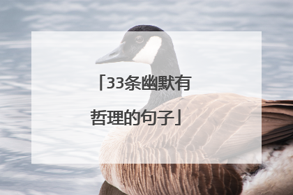 33条幽默有哲理的句子