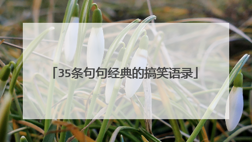 35条句句经典的搞笑语录