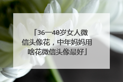 36一40岁女人微信头像花,中年妈妈用啥花微信头像最好