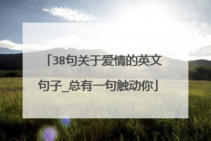 38句关于爱情的英文句子_总有一句触动你