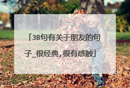 38句有关于朋友的句子_很经典,很有感触