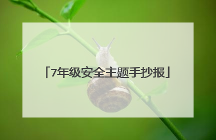 7年级安全主题手抄报