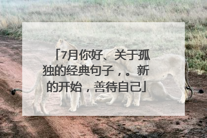 7月你好、关于孤独的经典句子，。新的开始，善待自己