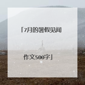 7月的暑假见闻作文500字