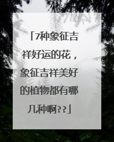 7种象征吉祥好运的花,象征吉祥美好的植物都有哪几种啊??
