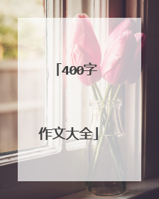 400字作文大全