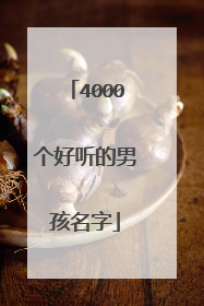 4000个好听的男孩名字