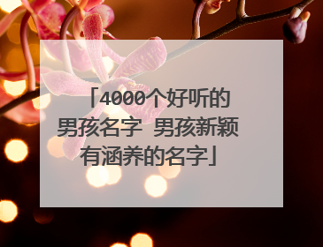 4000个好听的男孩名字 男孩新颖有涵养的名字