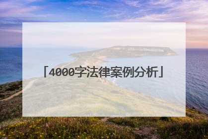 4000字法律案例分析