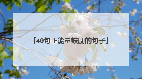 40句正能量鼓励的句子
