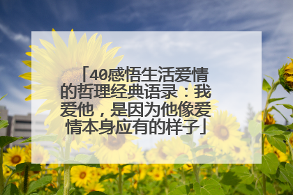 40感悟生活爱情的哲理经典语录:我爱他,是因为他像爱情本身应有的样子