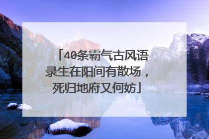 40条霸气古风语录生在阳间有散场，死归地府又何妨