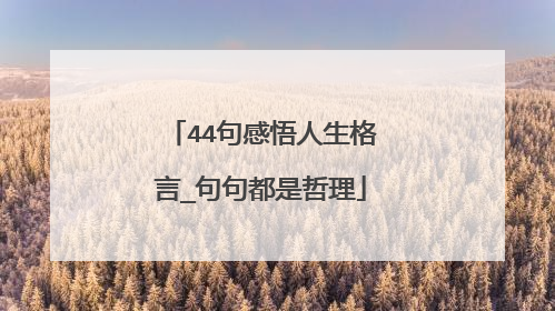 44句感悟人生格言_句句都是哲理