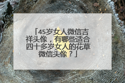 45岁女人微信吉祥头像,有哪些适合四十多岁女人的花草微信头像?