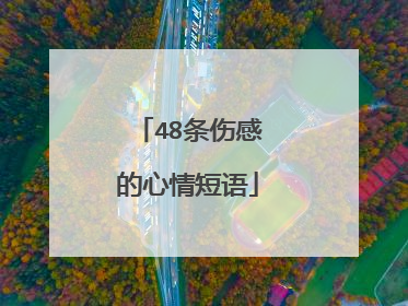48条伤感的心情短语