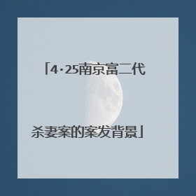 4·25南京富二代杀妻案的案发背景