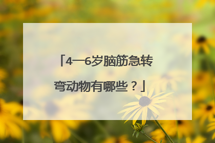 4一6岁脑筋急转弯动物有哪些？