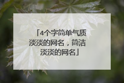 4个字简单气质淡淡的网名,简洁 淡淡的网名