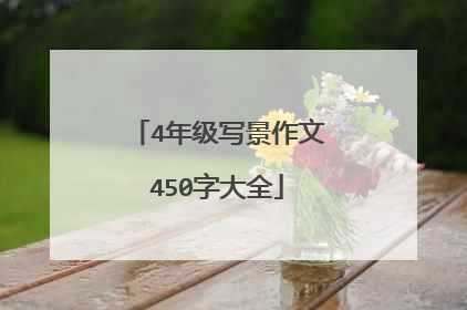 4年级写景作文450字大全