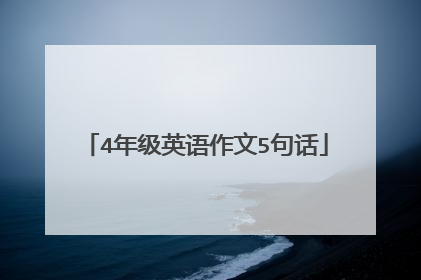 4年级英语作文5句话