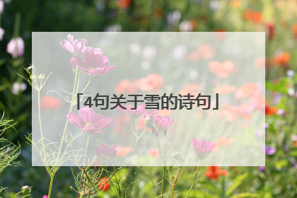 4句关于雪的诗句