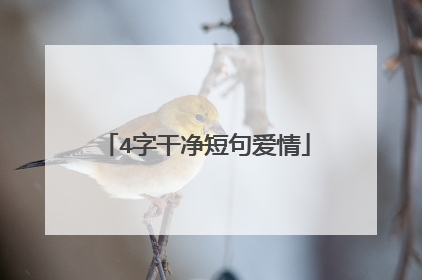 4字干净短句爱情