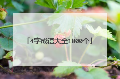 4字成语大全1000个