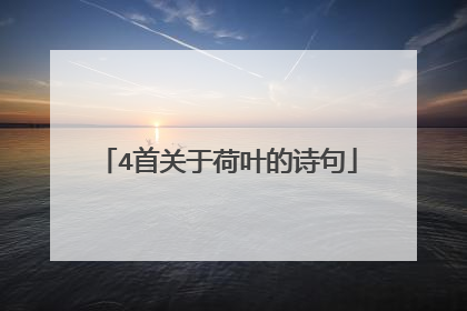 4首关于荷叶的诗句