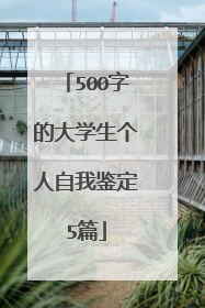 500字的大学生个人自我鉴定5篇