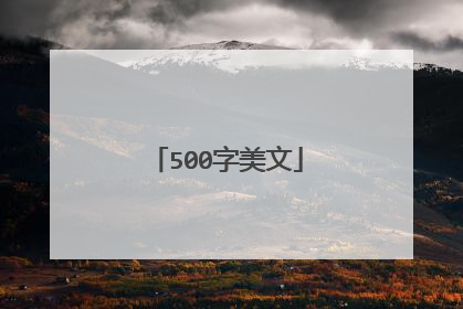 500字美文