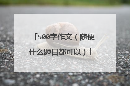 500字作文（随便什么题目都可以）