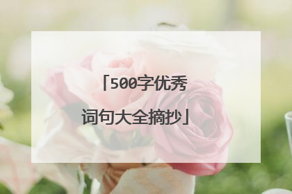 500字优秀词句大全摘抄