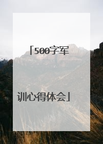 500字军训心得体会