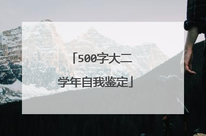 500字大二学年自我鉴定