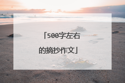 500字左右的摘抄作文