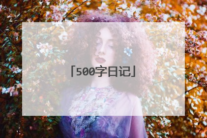 500字日记