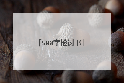 500字检讨书