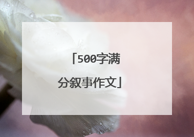 500字满分叙事作文