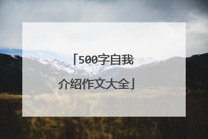 500字自我介绍作文大全